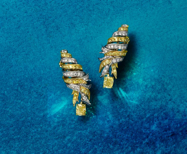 Tiffany & Co. ハイジュエリー イヤリング(モデル名未特定)