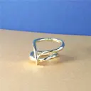 FADE, RING 'DISTORTION'