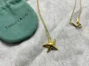 Tiffany & Co. ゴールデン スター ネックレス（イエローダイヤ）